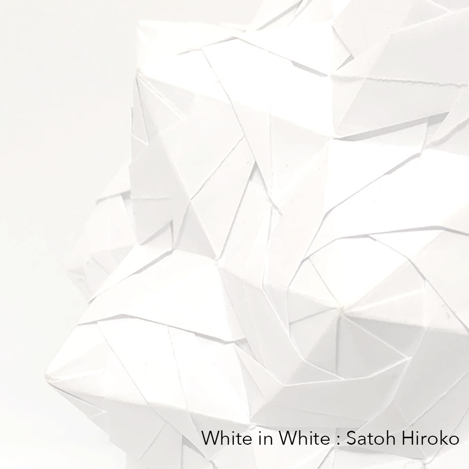white_in_white